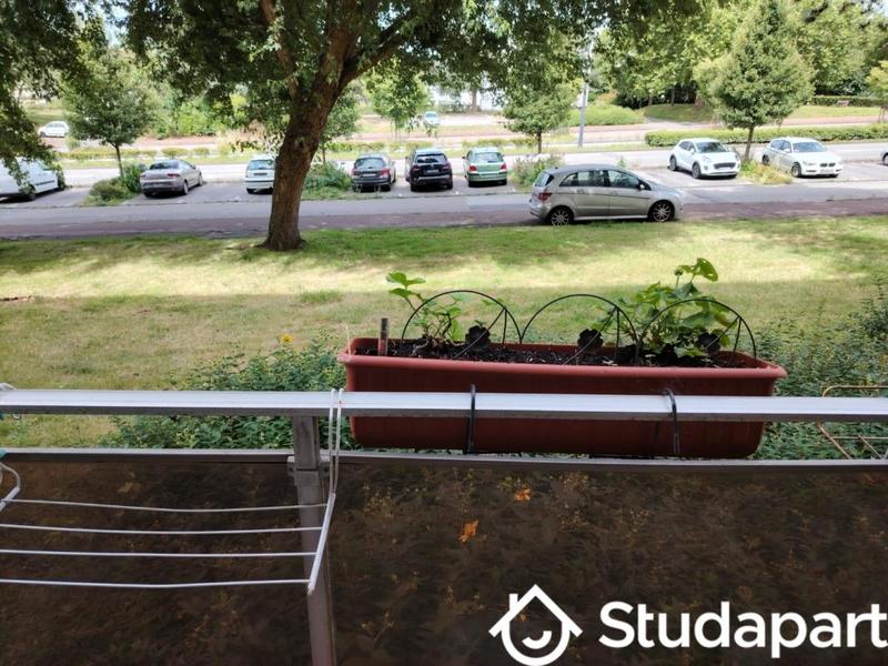 Chambre - 40 m² - 1 pièce