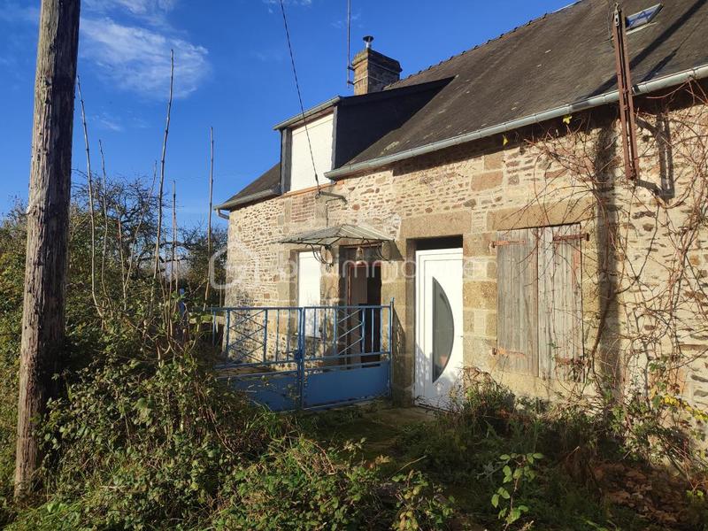 Maison ancienne - 60 m² - 3 pièces