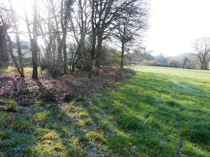 Terrain constructible - 3 044 m²