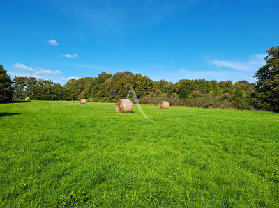 Maison - 39 m² - 2 pièces