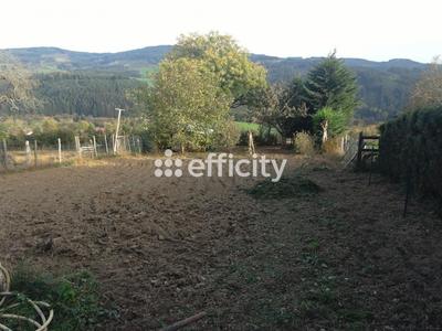 Maison de village - 245 m² - 7 pièces