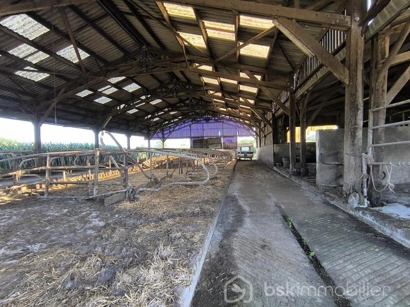 Ferme - 200 m² - 3 pièces