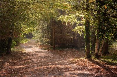 Maison - 290 m² - 7 pièces