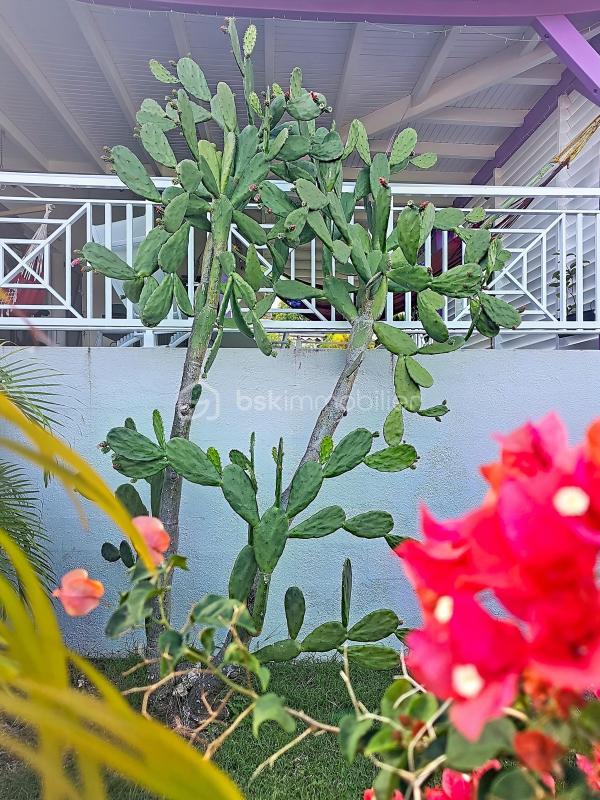 Maison - 75 m² - 4 pièces