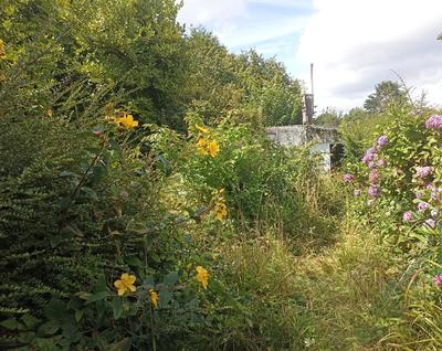 Maison - 68 m² - 3 pièces