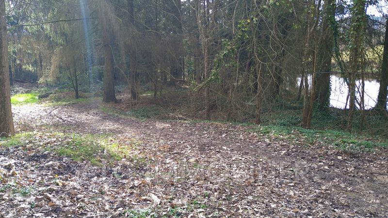 Terrain - 10 109 m²