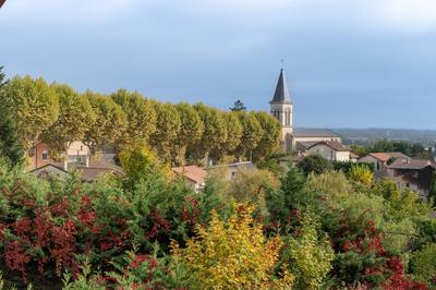 Maison - 371 m² - 15 pièces