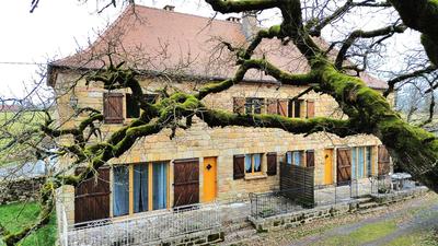 Maison en pierre - 200 m² - 10 pièces
