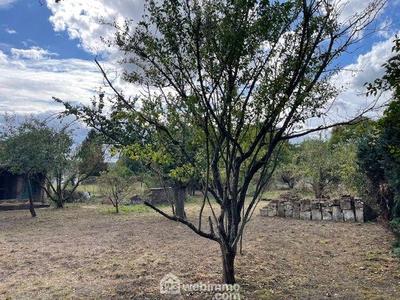Ferme - 135 m² - 4 pièces