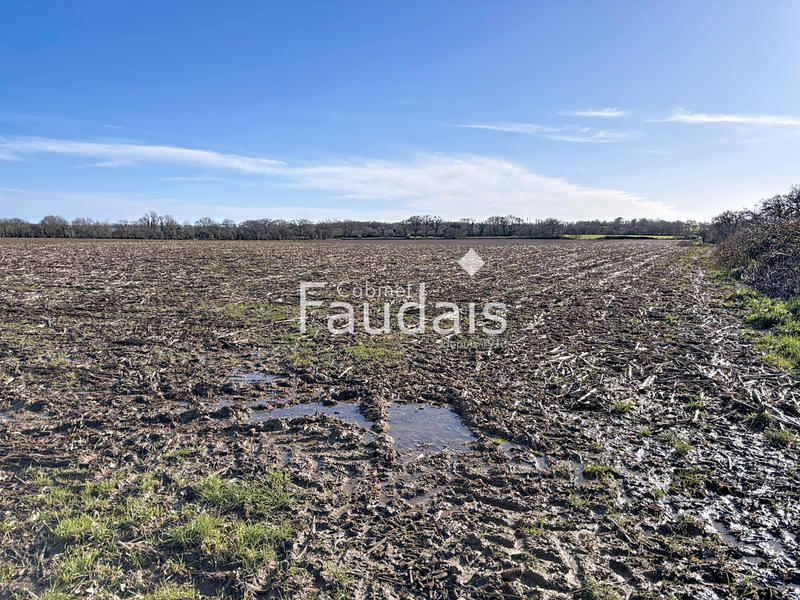 Terrain agricole - 65 732 m²