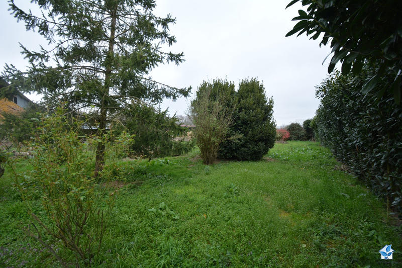 Viager - Maison ancienne - 115 m² - 5 pièces