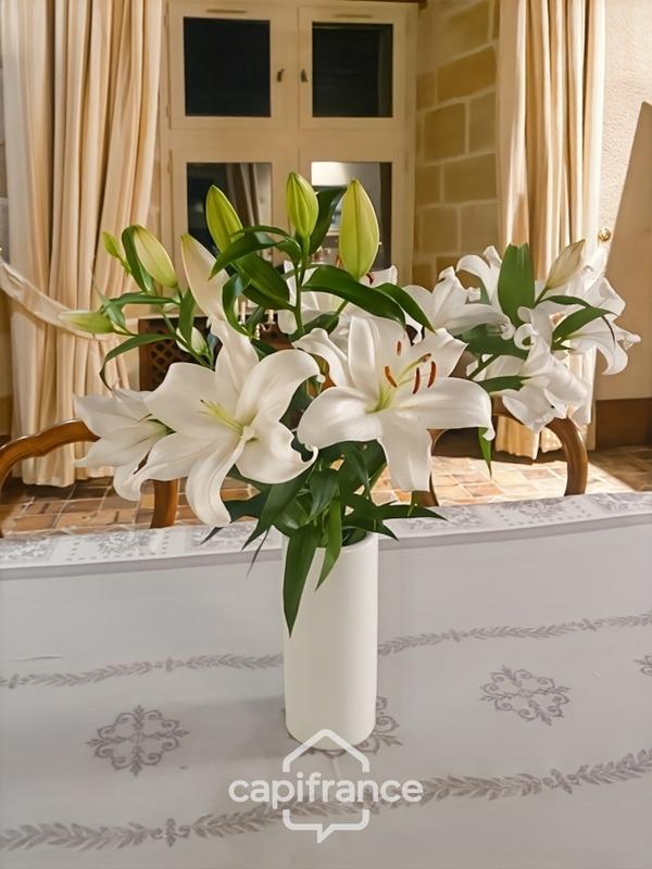 Château - 350 m² - 5 pièces