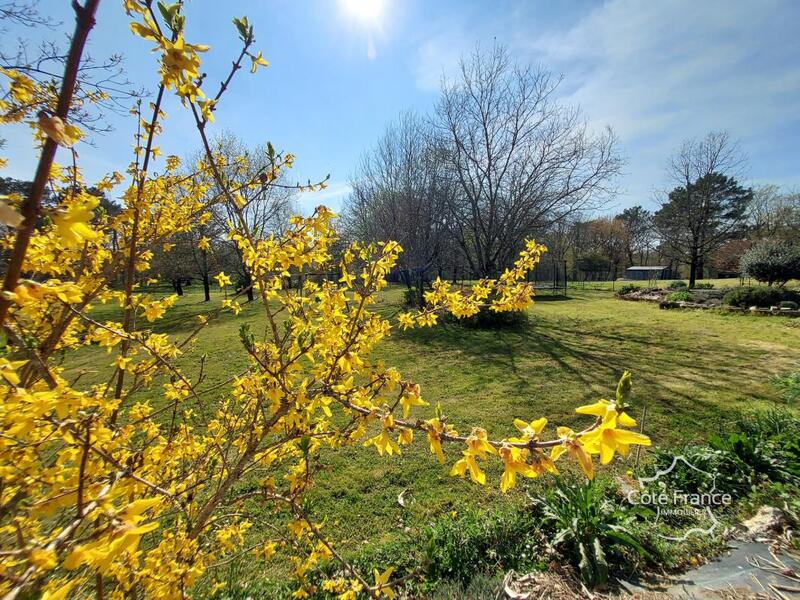 Propriété - 175 m² - 7 pièces