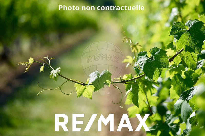 Terrain de loisirs - 5 000 m²