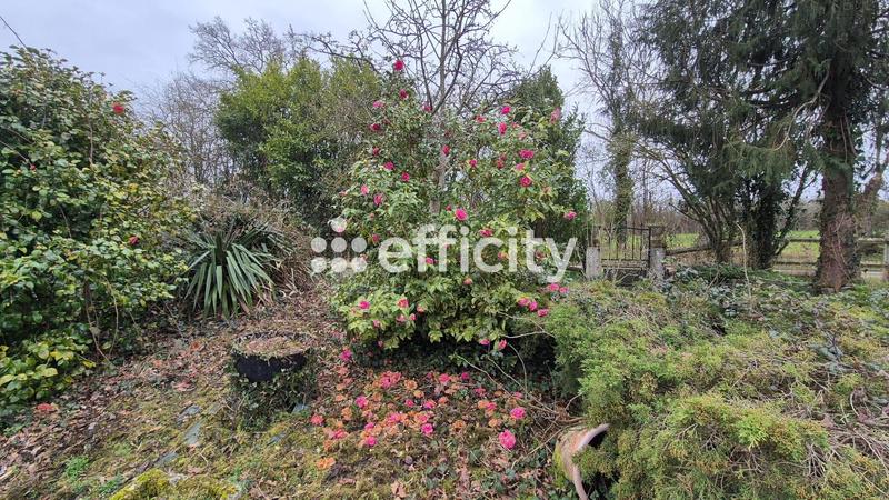 Pavillon - 207 m² - 10 pièces