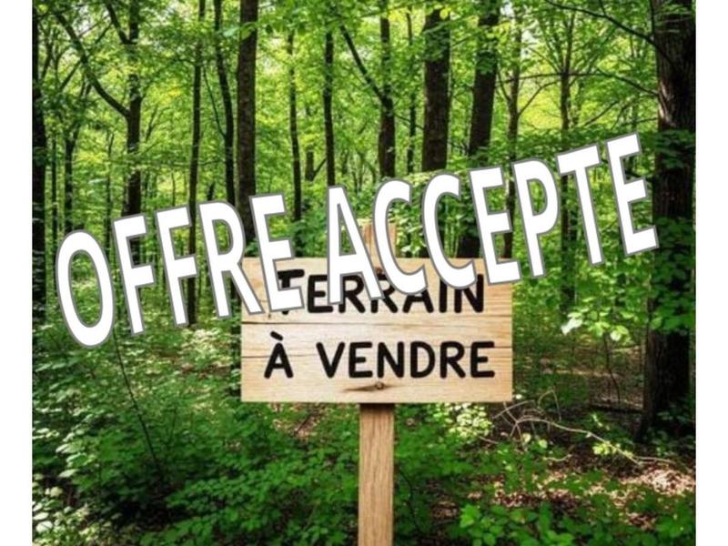 Terrain - 50 544 m²