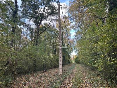 Terrain - 50 246 m²