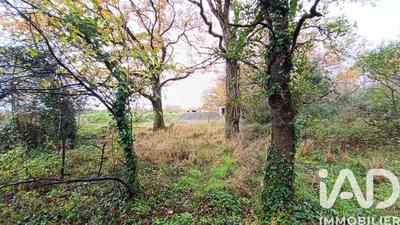 Terrain agricole - 2 160 m²