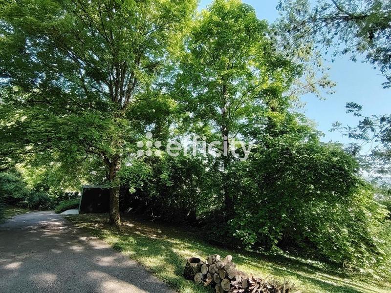 Maison - 262 m² - 10 pièces