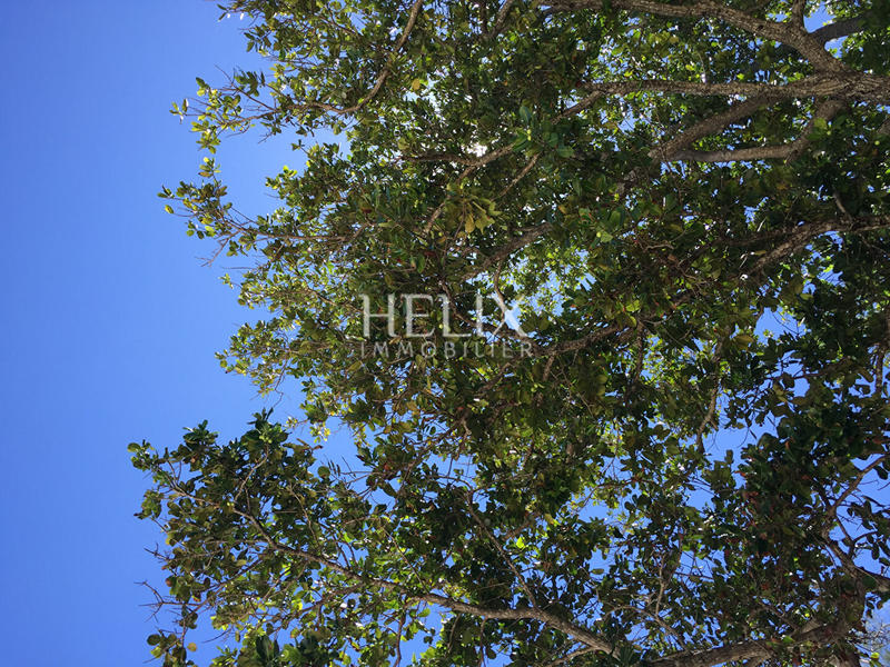 Appartement - 141 m² - 7 pièces