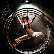 Révolte ou Tentatives de l'Echec