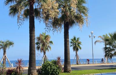 Appartement - 34 m² - 1 pièce