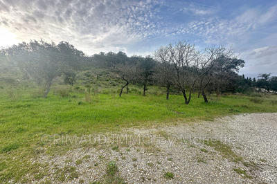 Terrain - 6 000 m²