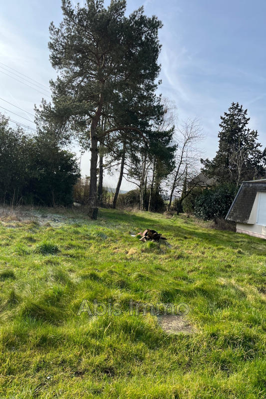 Maison - 80 m² - 5 pièces