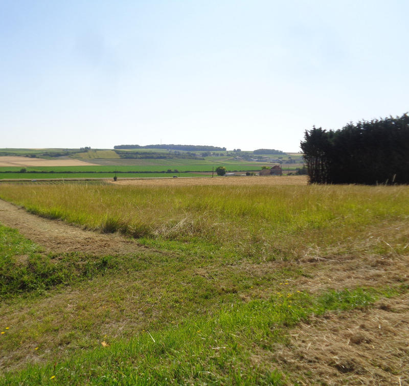 Terrain constructible - 2 000 m²