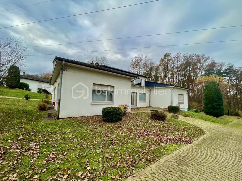 Bureau - 9 000 m² - 50 pièces