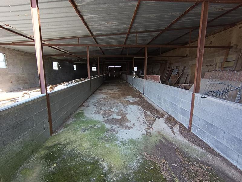 Maison - 1 000 m² - 4 pièces