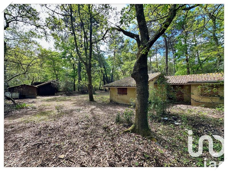 Terrain - 3 908 m²