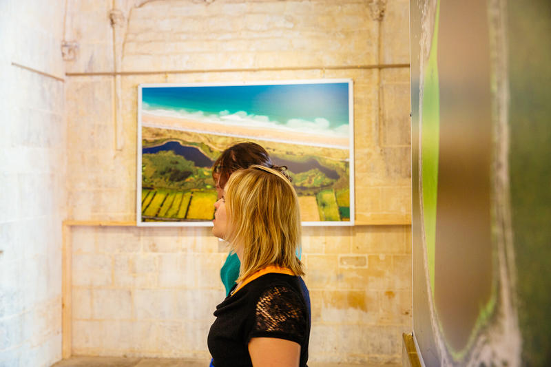 Exposition « Still Life : natures immobiles »