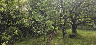 Maison - 113 m² - 5 pièces