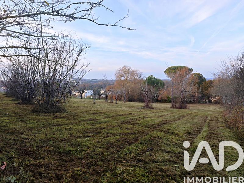 Terrain - 3 685 m²