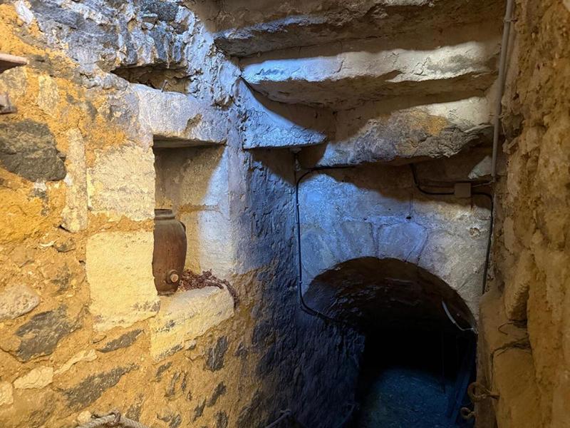 Maison en pierre - 245 m² - 6 pièces