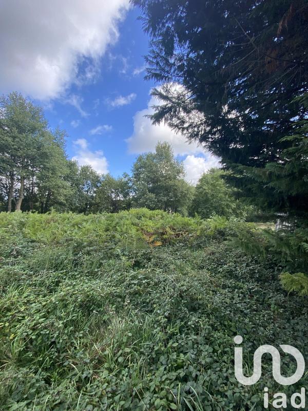 Maison de campagne - 135 m² - 8 pièces