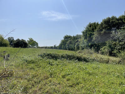 Terrain - 5 281 m²