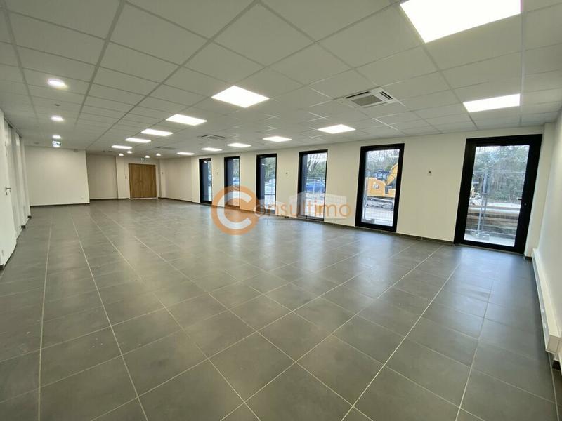 Bureau - 290 m²