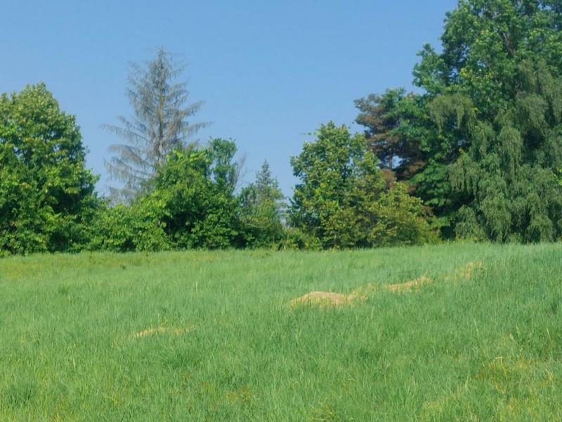 Terrain constructible - 542 m²