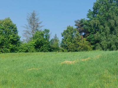 Terrain constructible - 542 m²