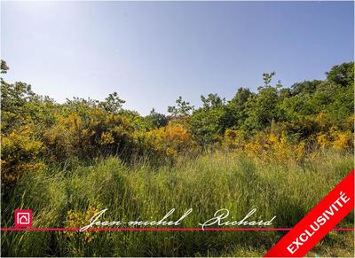 Terrain de loisirs - 101 030 m²