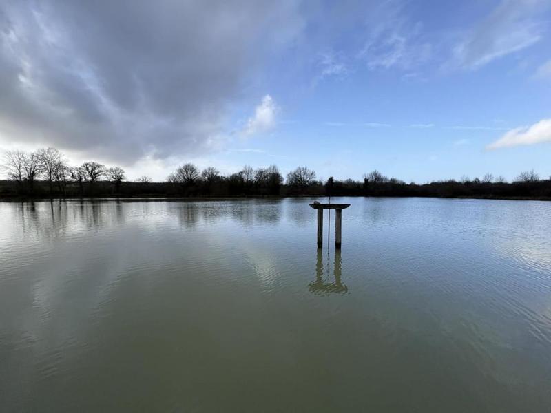 Étang - 123 995 m²