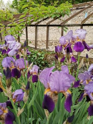 Les Jardins de l'Ange