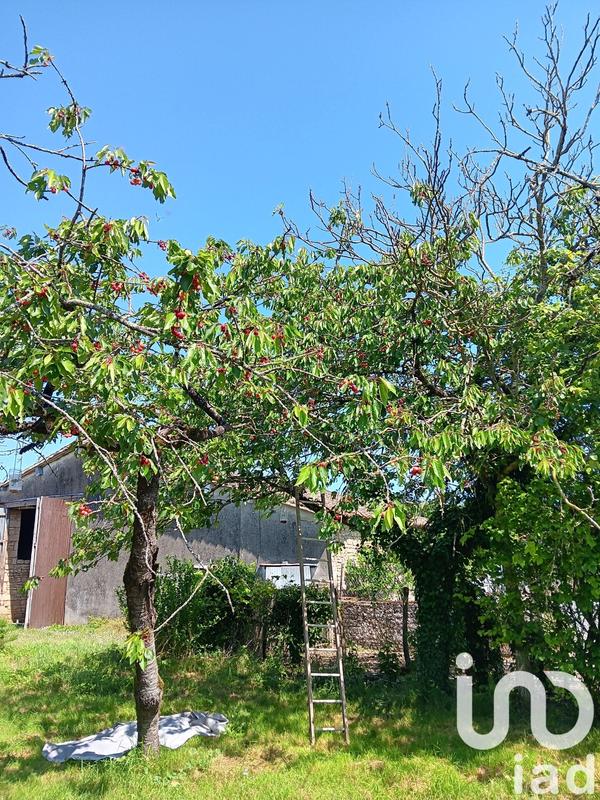 Maison de campagne - 80 m² - 4 pièces