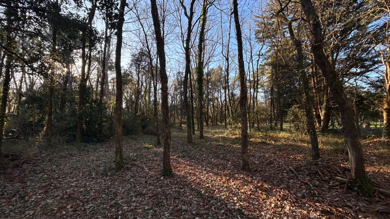 Maison - 65 m² - 3 pièces