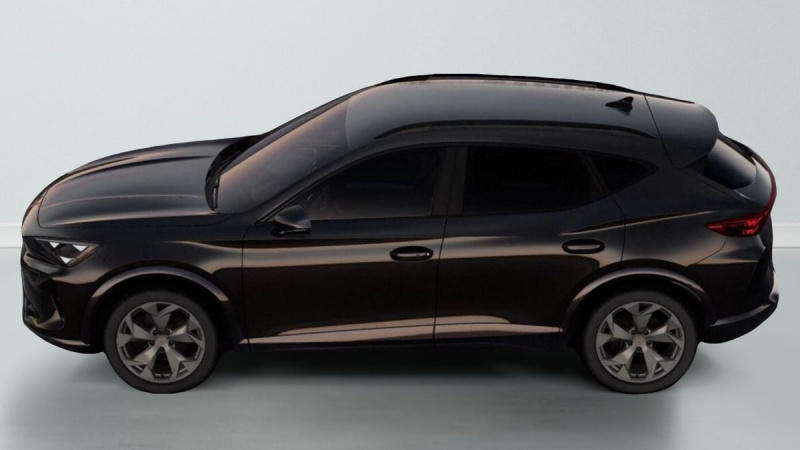 Cupra Formentor 2.0 Tdi 150 Dsg V