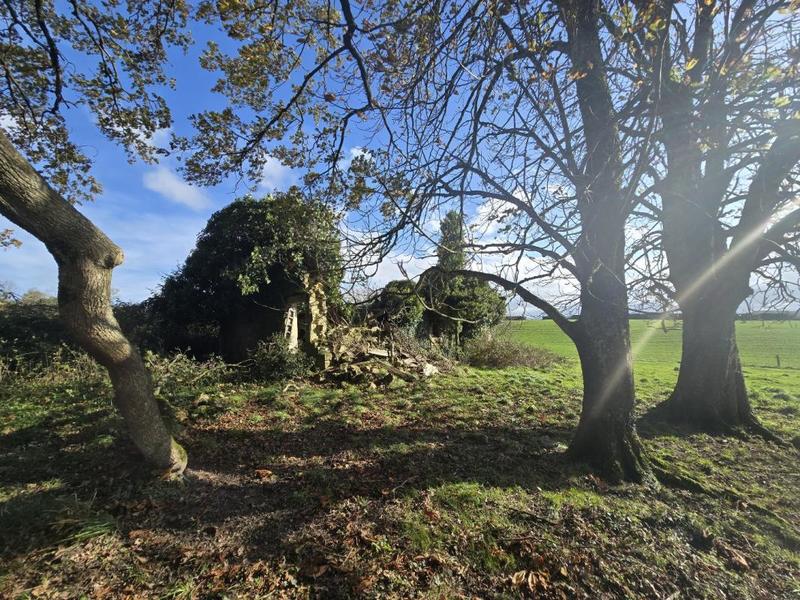 Corps de ferme - 237 m² - 9 pièces