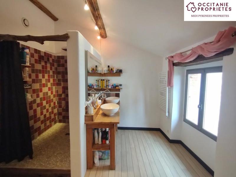 Maison ancienne - 530 m² - 12 pièces