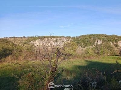 Terrain - 1 317 m²